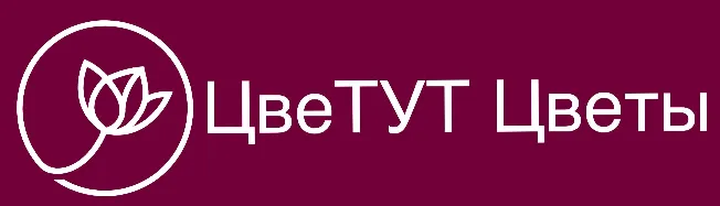 ЦвеТУТ Цветы