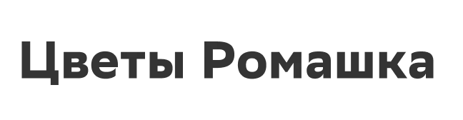 Цветы Ромашка